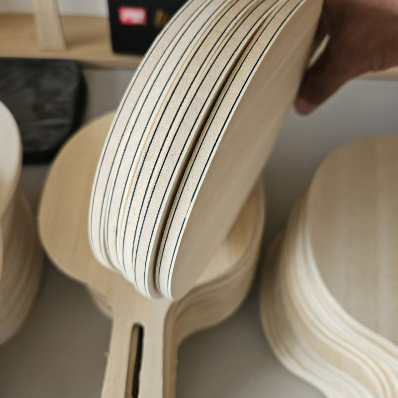 DIY FL/CS Table Tennis Racket  - Badminton Background recensie en prijs
