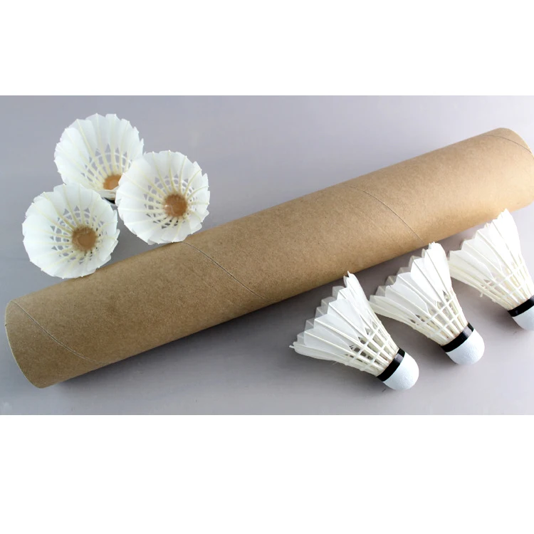 Custom Logo Goose Feather Club - Badminton Club Logo recensie en prijs