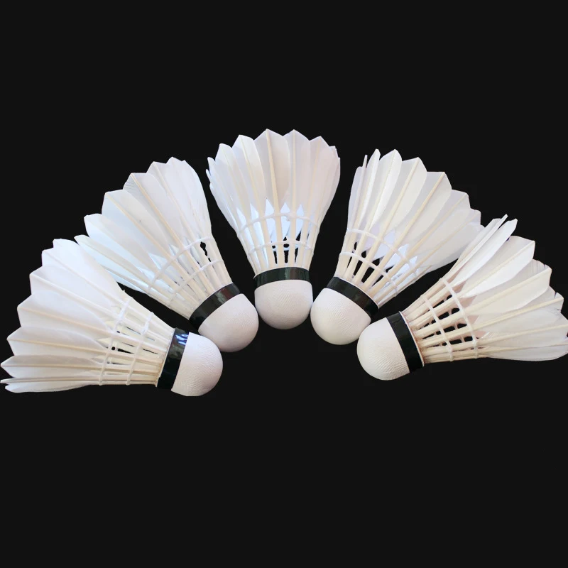 Custom Logo Goose Feather Club - Badminton Club Logo recensie en prijs