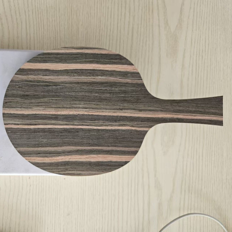 DIY FL/CS Table Tennis Racket  - Badminton Background recensie en prijs