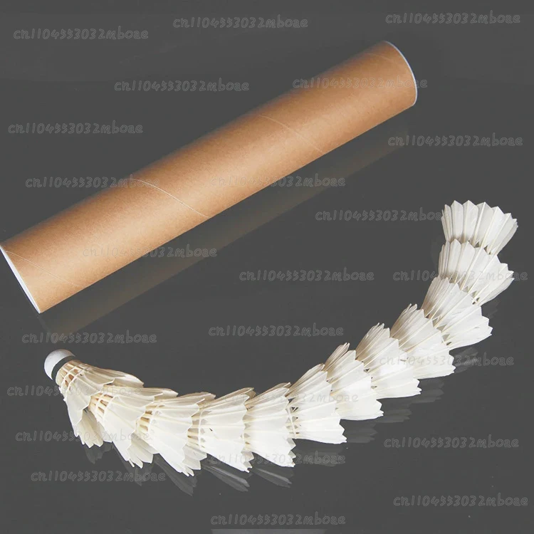 Custom Logo Goose Feather Club - Badminton Club Logo recensie en prijs